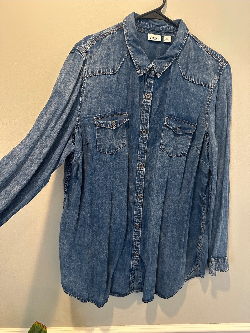 Cato Distressed Denim Button-Front Shirt - Blue